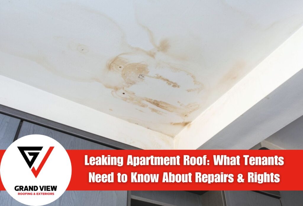 Leaking Apartment Roof: What Tenants Need to Know About Repairs & Rights